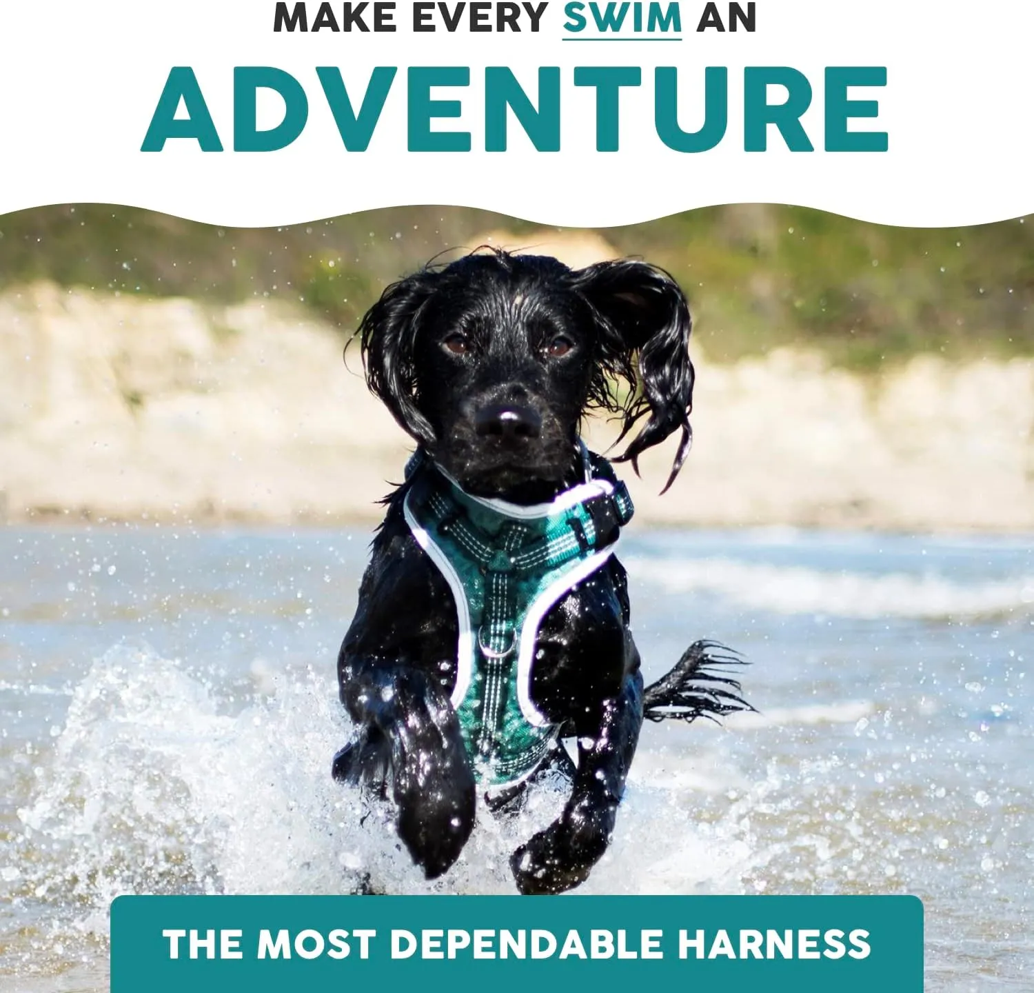 Embark Sports Dog Harness, Dog Harness for Small Medium Large Dogs No Pull with Light and Breathable Design - Handle for Control. Easy On and Off, Size Adjustable, Non Choke. Teal Vest