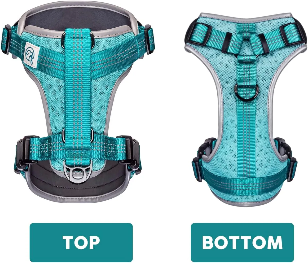 Embark Sports Dog Harness, Dog Harness for Small Medium Large Dogs No Pull with Light and Breathable Design - Handle for Control. Easy On and Off, Size Adjustable, Non Choke. Teal Vest