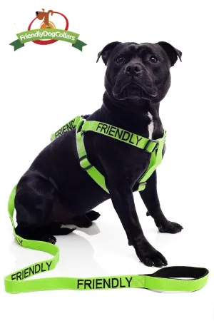 Friendly Dog Lead and Strap Harness