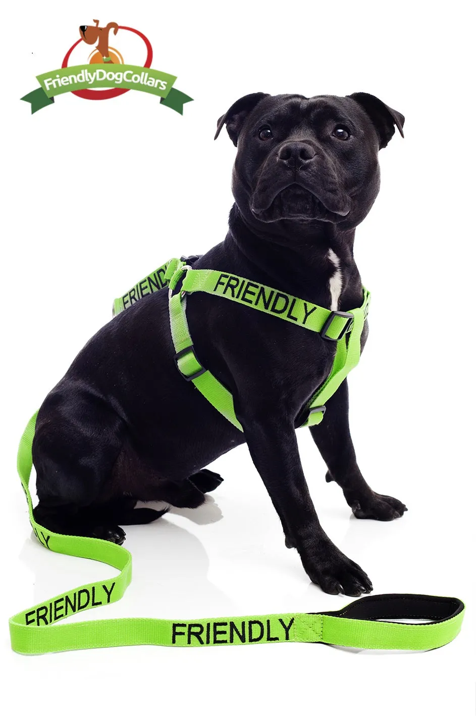 Friendly Dog Lead and Strap Harness