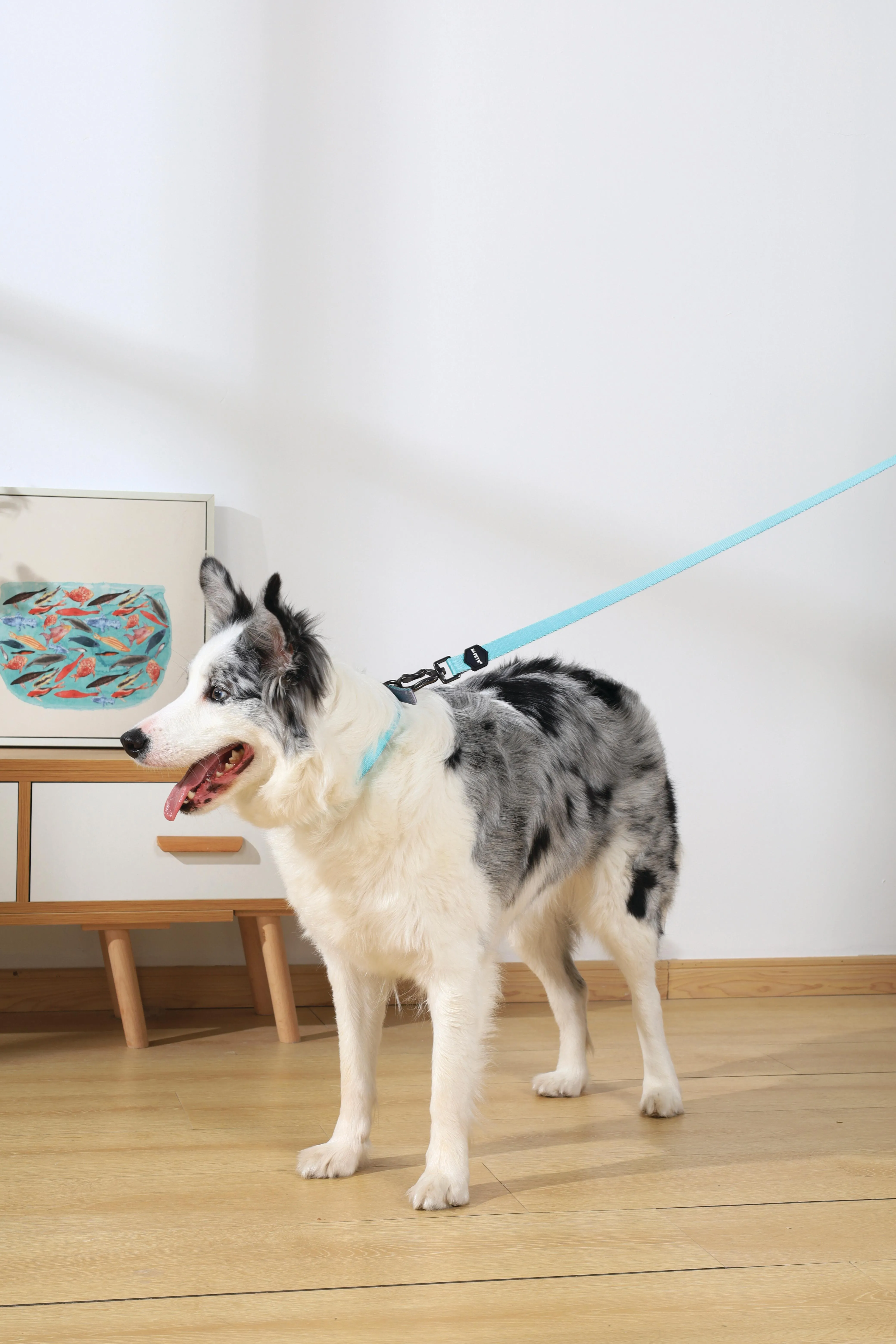GENTLE DOG Padded Collar Green