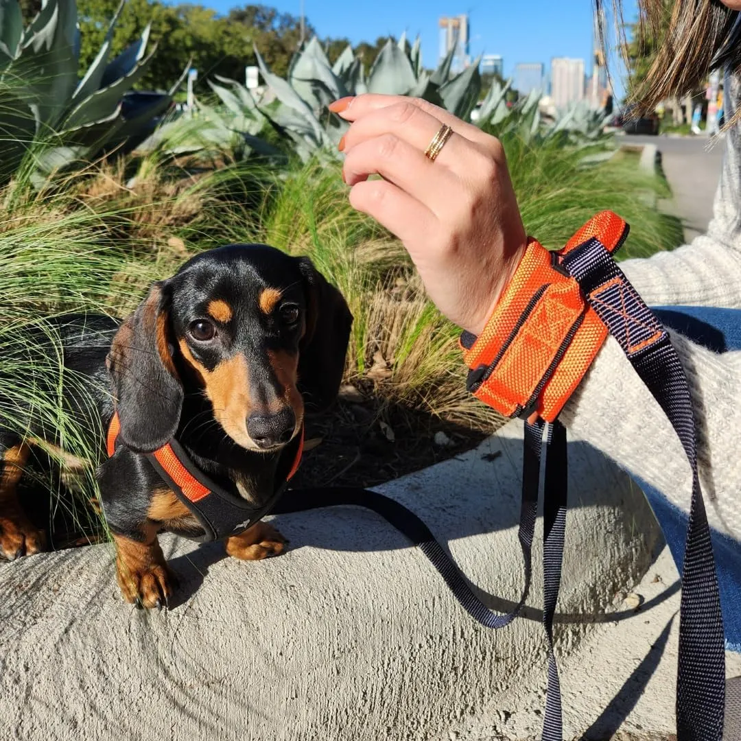 Gooby Easy Fit Wrist Band Surfer Leash - Blue, 6 FT - Comfortable Hands Free Leash with Elastic Band for Small, Medium and Large Dogs