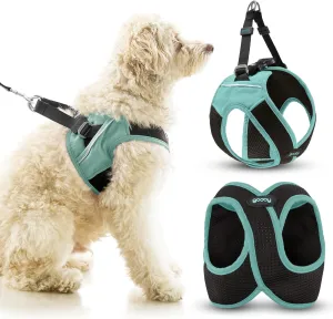 Gooby Escape Free Easy Fit X in Dog Harness - Seattle Blue, X-Small