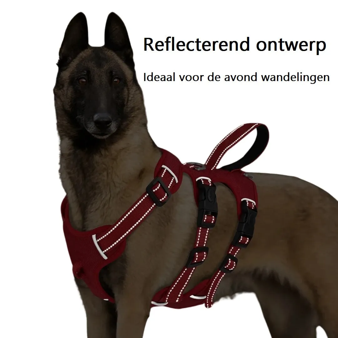 GripGuarder™ | Discover Comfort and Strength