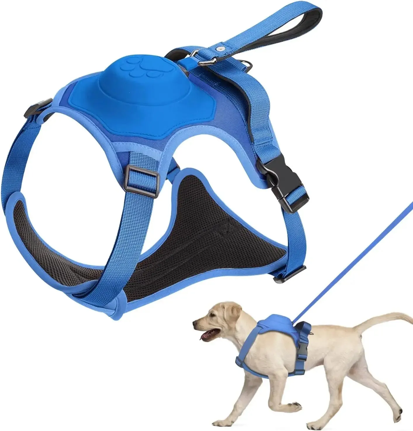 Harness and Retractable Leash