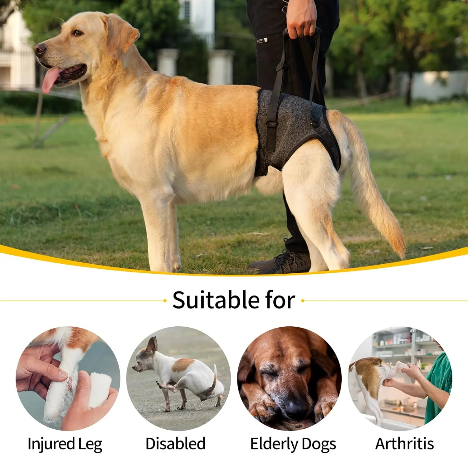 HEYWEAN Dog Sling for Large Dogs Hind Leg Support Harness Ideal for Elderly Injured Arthritic Dogs Provides Rehabilitation Aid for Weak Back Legs Comfortable and Durable Design