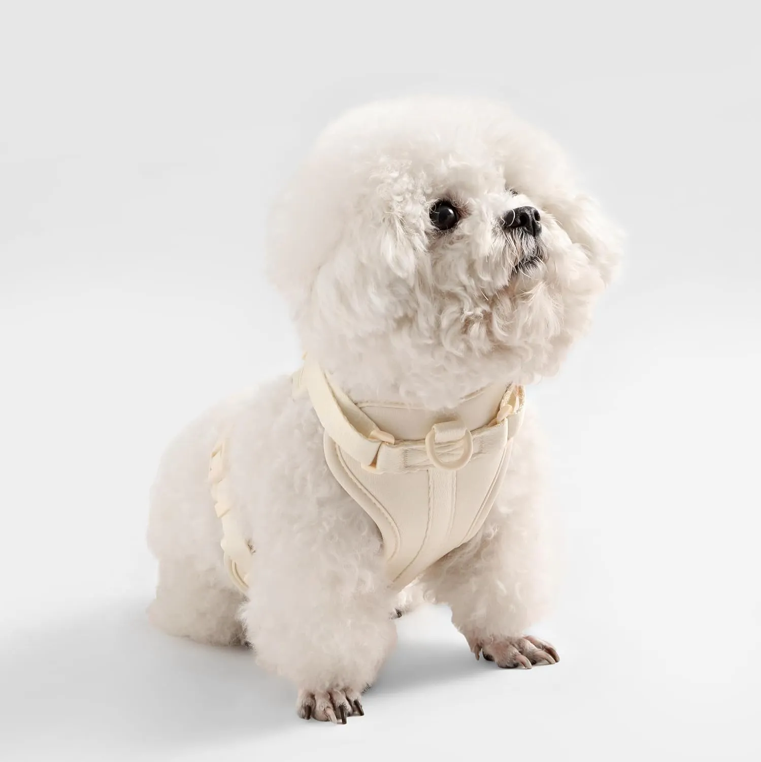 HNS1001L Arlo Small Adjustable Soft Padded No Pull Pet Harness with 3 Buckles and 3 Leash Clips, Bailey