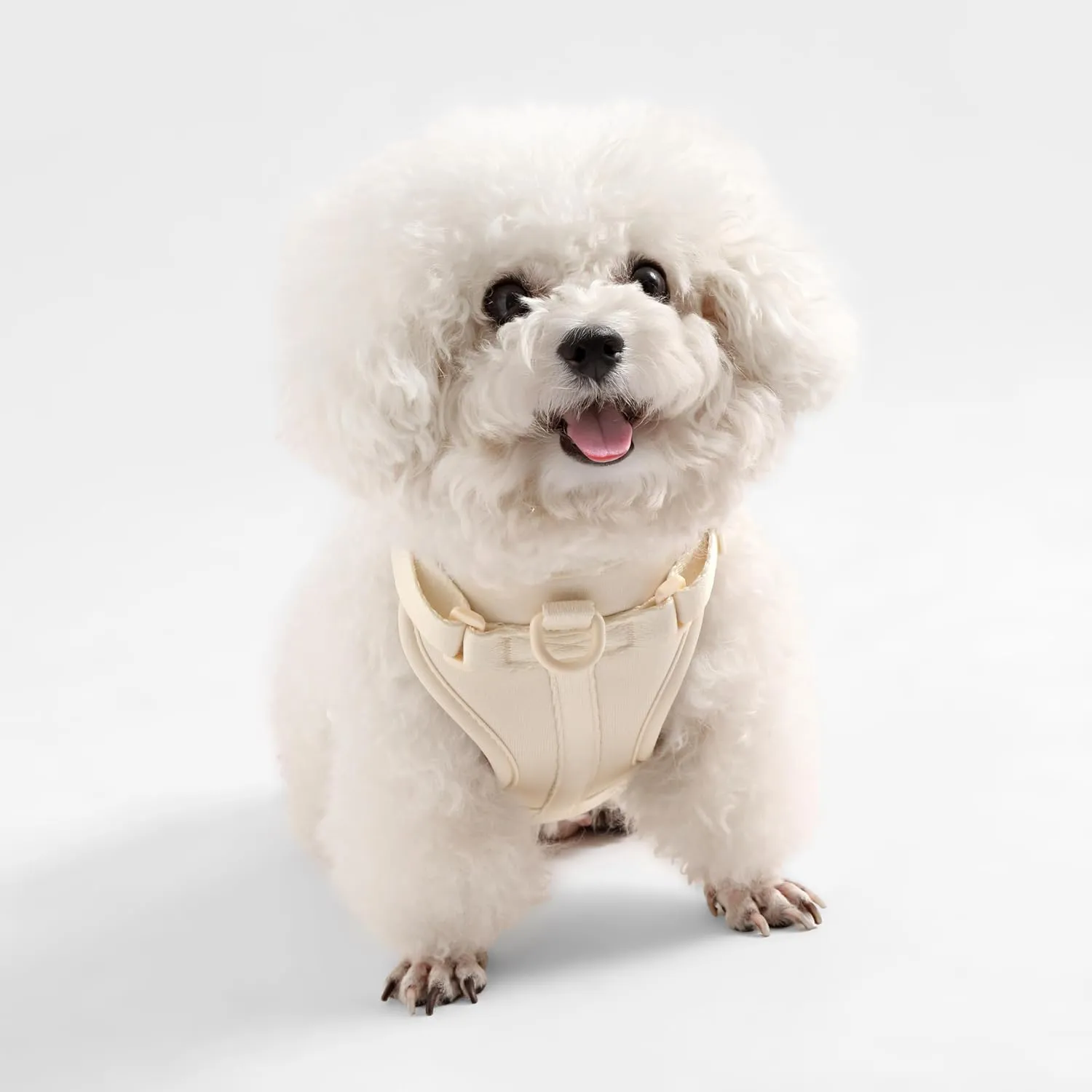 HNS1001L Arlo Small Adjustable Soft Padded No Pull Pet Harness with 3 Buckles and 3 Leash Clips, Bailey