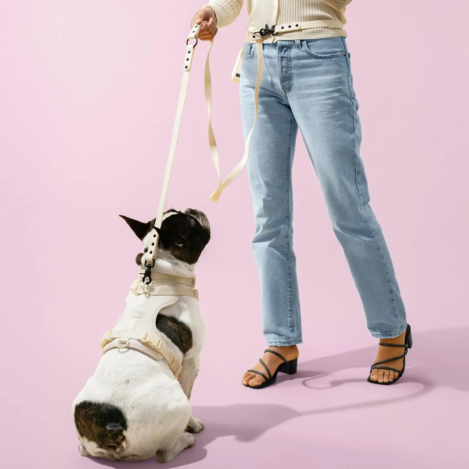 HNS1001L Arlo Small Adjustable Soft Padded No Pull Pet Harness with 3 Buckles and 3 Leash Clips, Bailey
