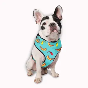 Hot Dog Vest Harness