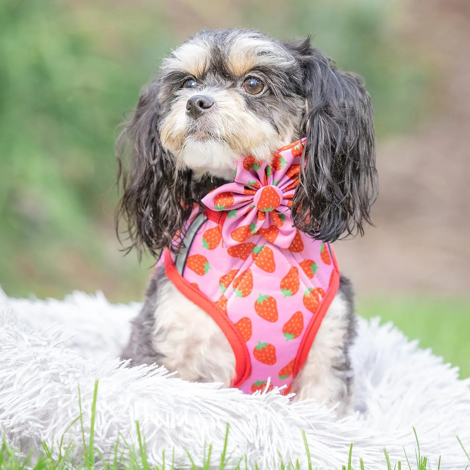 Huxley & Kent Hudson Walking & Training Harness - Strawberry (Extra-Small, 6-10lbs) - Easy Control Step-in Mesh Vest Harness with Reflective Strips for Safety - H&K