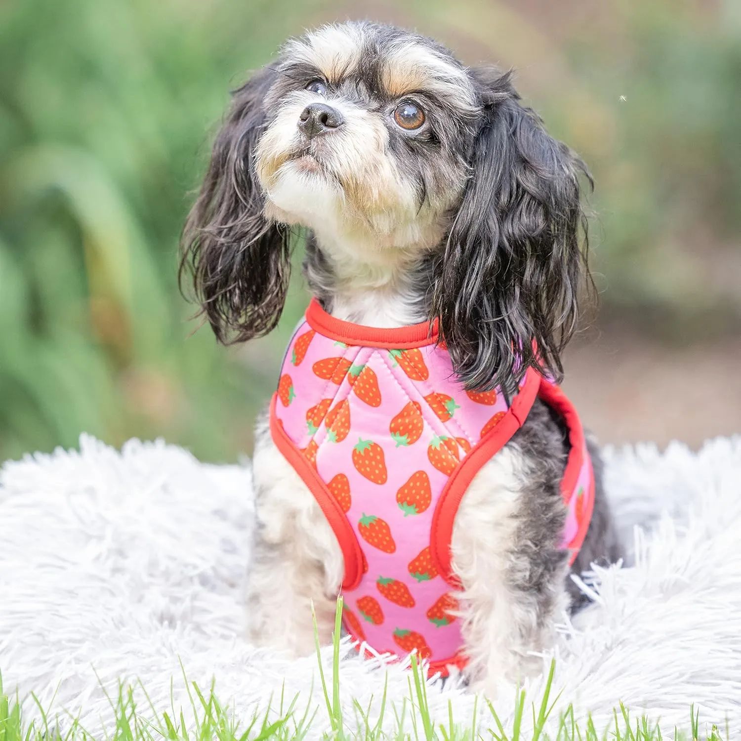 Huxley & Kent Hudson Walking & Training Harness - Strawberry (Extra-Small, 6-10lbs) - Easy Control Step-in Mesh Vest Harness with Reflective Strips for Safety - H&K