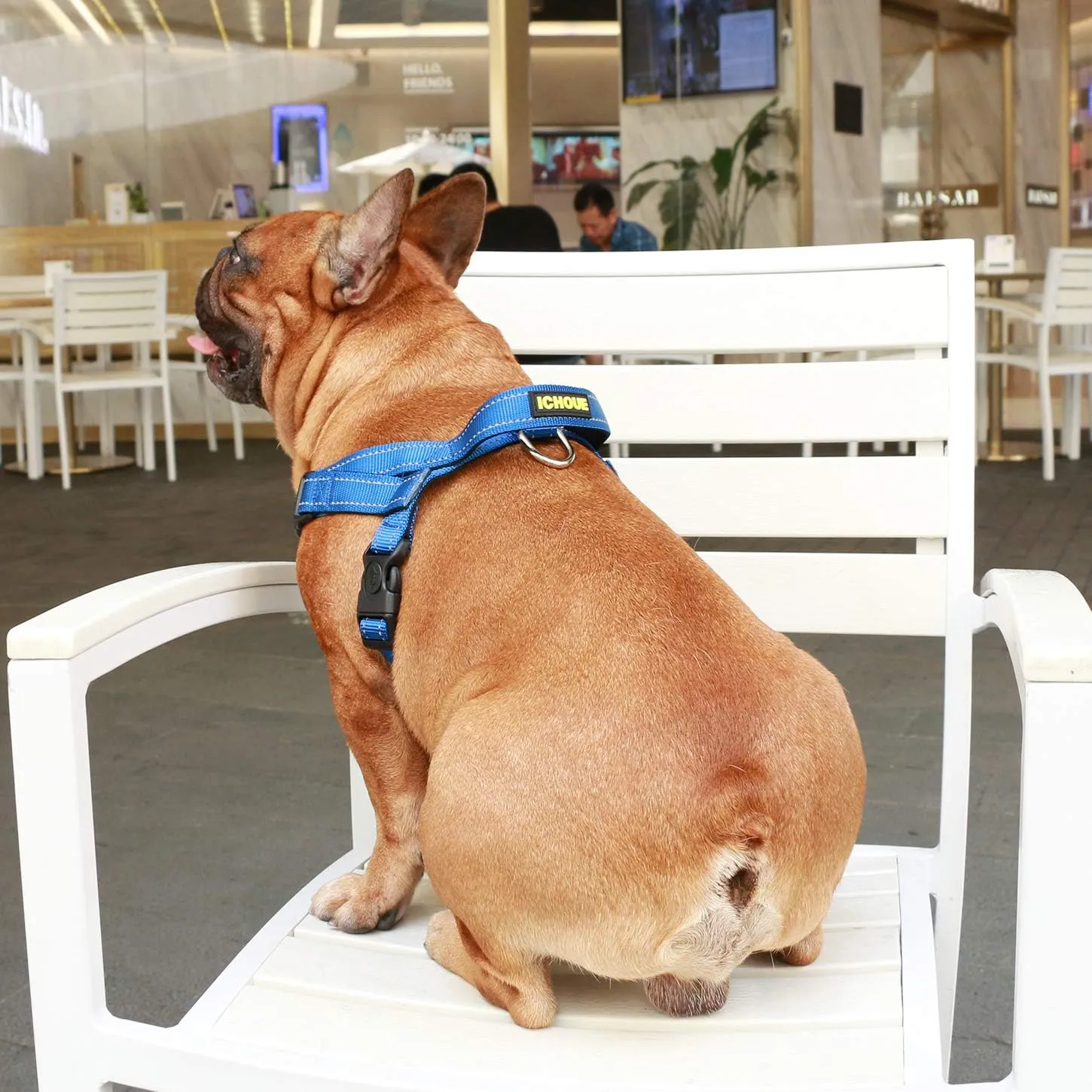 iChoue Dog Harness Easy On and Off Adjustable Harness Lightweight Harness with Handle for Small and Medium Dogs - Blue S