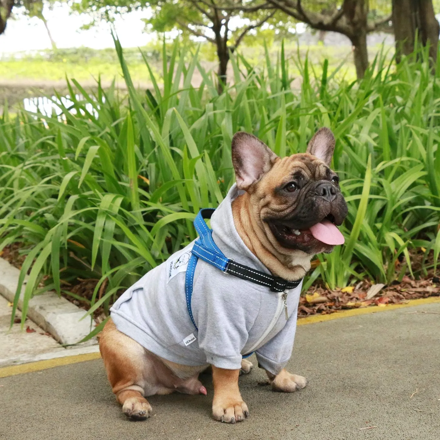 iChoue Dog Harness Easy On and Off Adjustable Harness Lightweight Harness with Handle for Small and Medium Dogs - Blue S