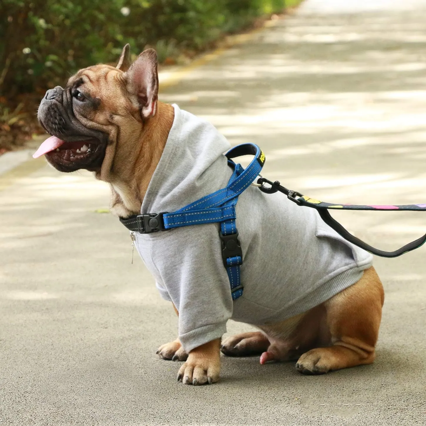 iChoue Dog Harness Easy On and Off Adjustable Harness Lightweight Harness with Handle for Small and Medium Dogs - Blue S