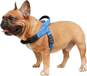 iChoue Dog Harness Easy On and Off Adjustable Harness Lightweight Harness with Handle for Small and Medium Dogs - Blue S