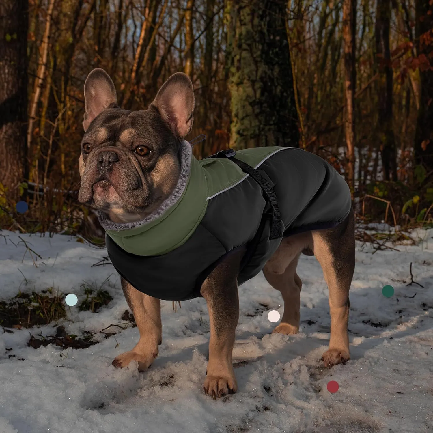 IECOii Extra Warm Dog Coat Reflective Adjustable Winter Jacket with Buckle Fleece Turtleneck for Cold Weather, Soft for Small Medium Extra Large Dogs, Army Green