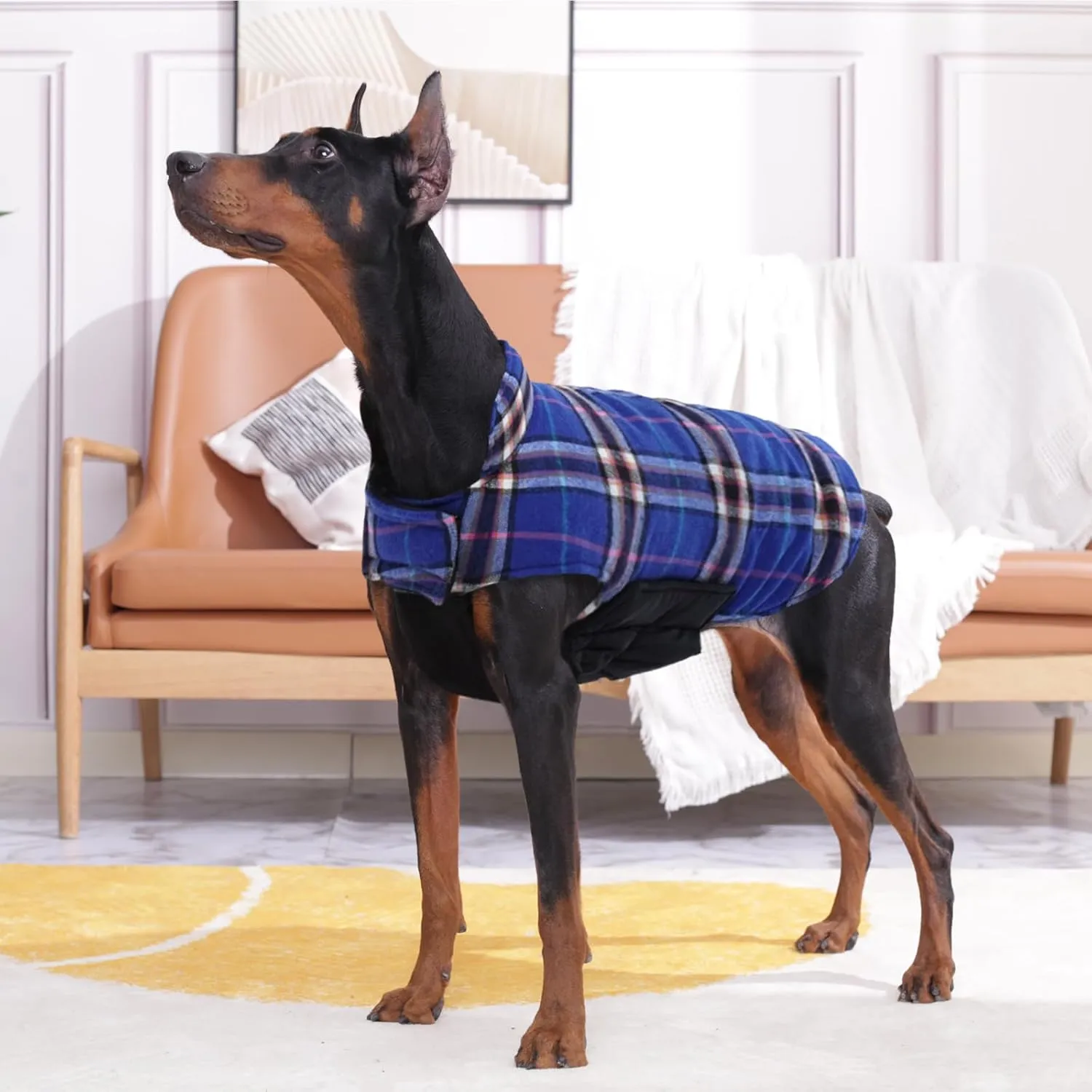 Kuoser Warm Dog Coat, Waterproof Dog Coats for X-Small Dogs, Adjustable Durable Doggie Winter Jacket Reversible Cozy Puppy Cold Weather Apparel from Small to Large Breed, Navy XS