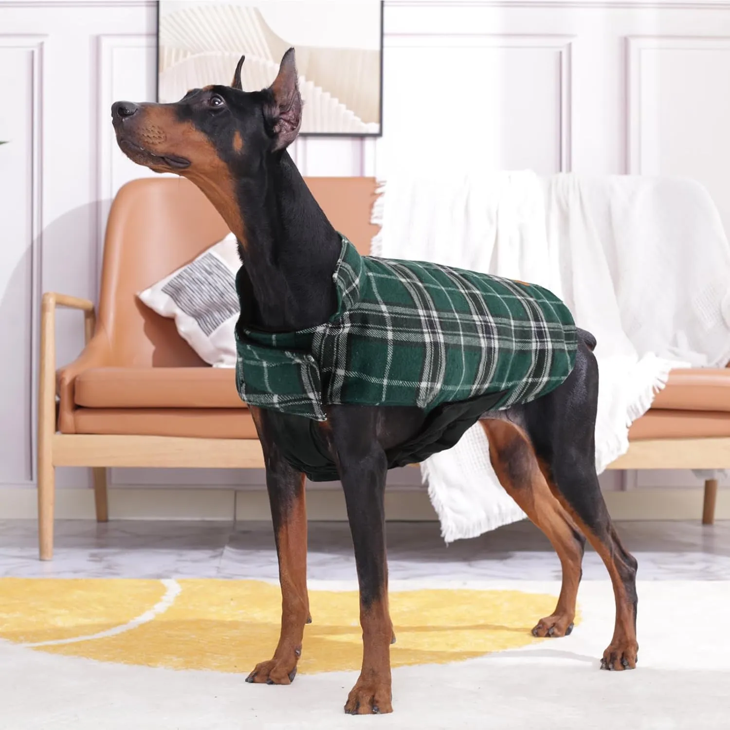 Kuoser Waterproof Dog Coat, Reversible Dog Jacket for Small Dogs, Adjustable Durable Doggie Winter Coat Warm Cozy Puppy Cold Weather Apparel from Small to Large Breed, Green S