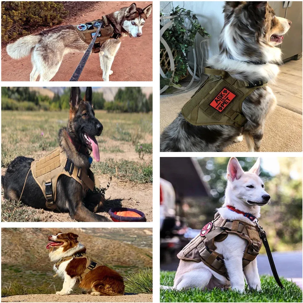 Large Dog Harness Collar- Adjustable & Breathable Vest