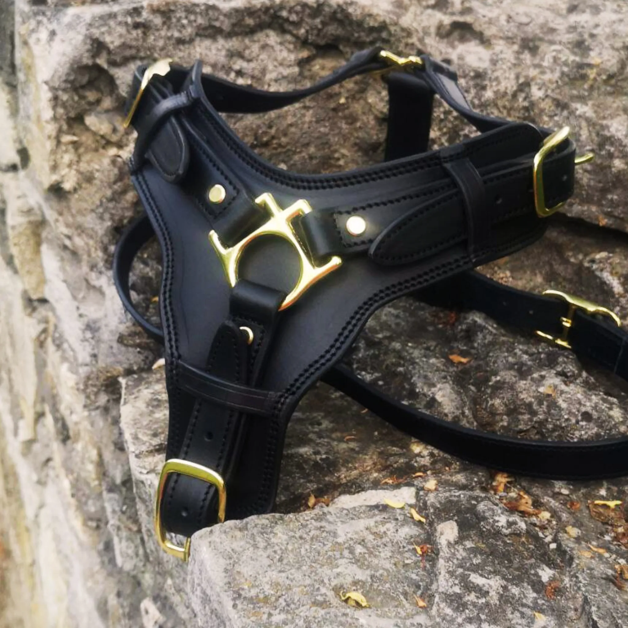 Leather Dog Harness with Handle and Brass Hardware