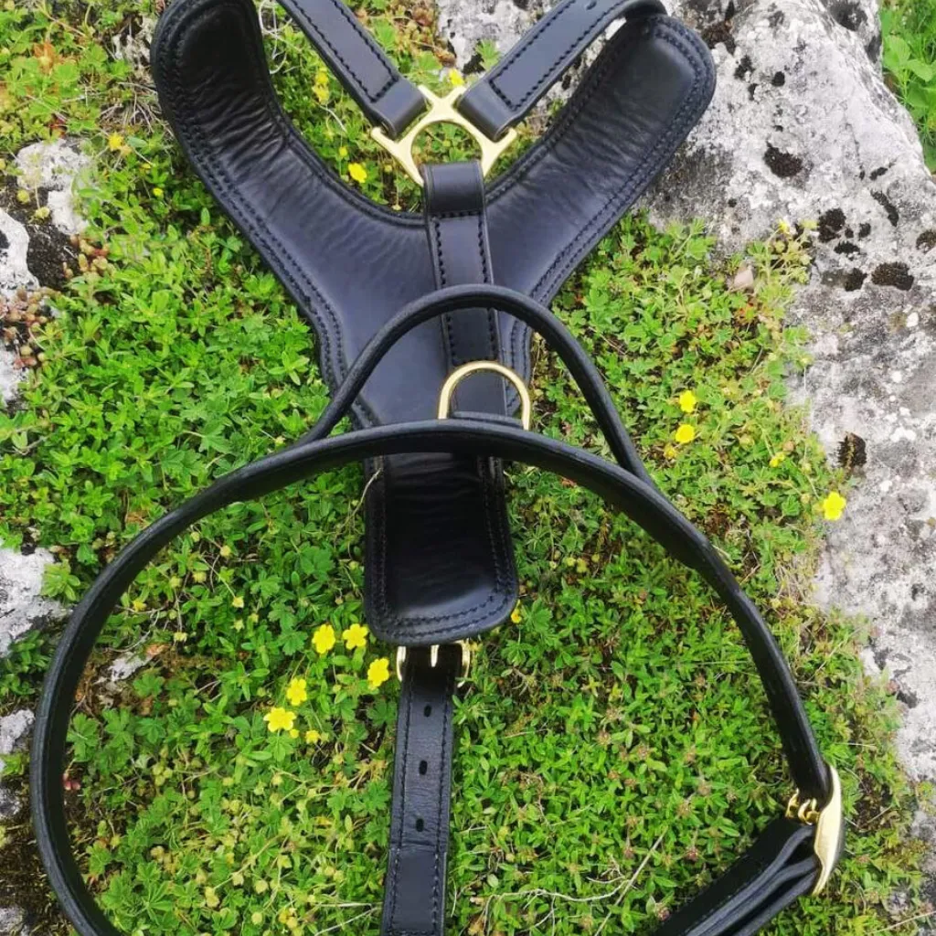 Leather Dog Harness with Handle and Brass Hardware