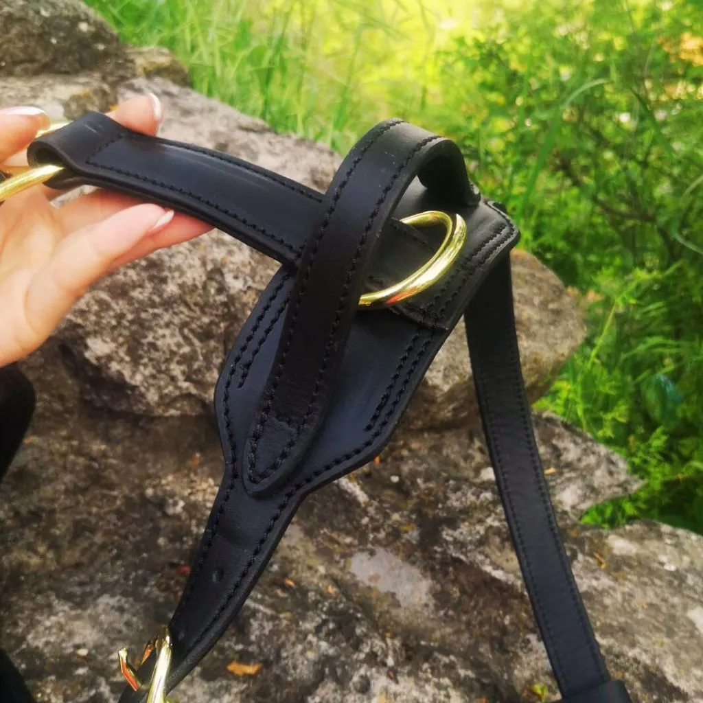 Leather Dog Harness with Handle and Brass Hardware