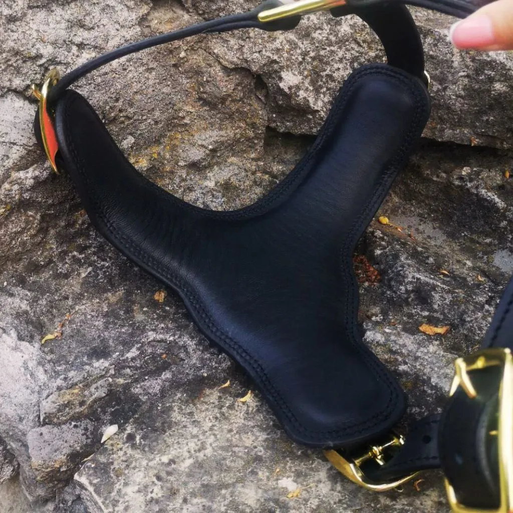 Leather Dog Harness with Handle and Brass Hardware