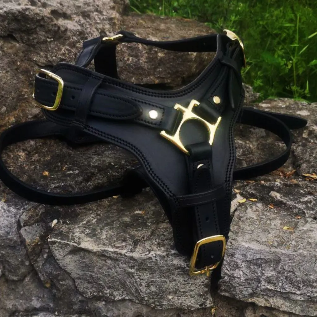 Leather Dog Harness with Handle and Brass Hardware