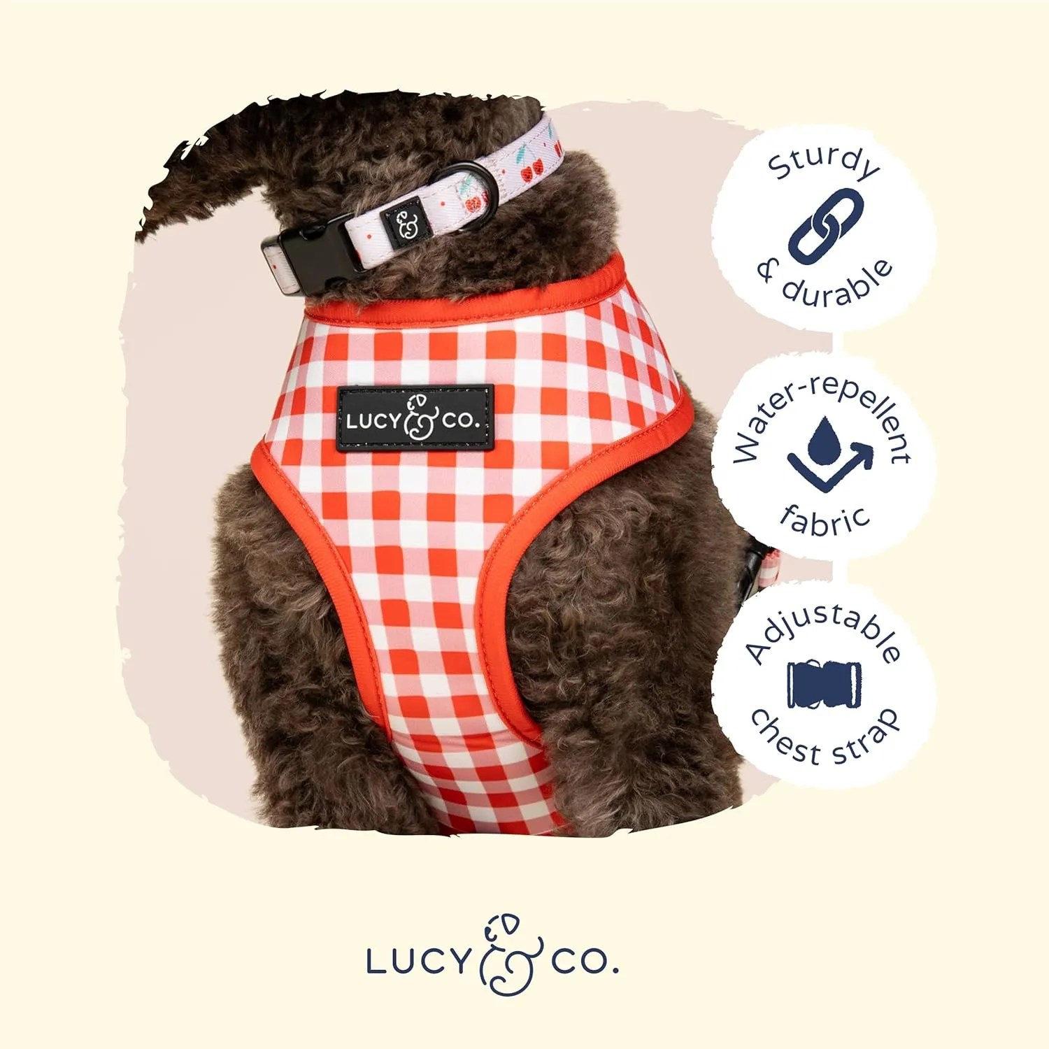 Lucy & Co. Cheery Cherries, Cute Reversible Dog Harness Walking Halter - Best Designer Pet Harnesses for XS - XL Dogs - Padded Adjustable Vest for Easy Walking (Small)