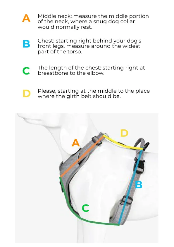 LV Leather Harness