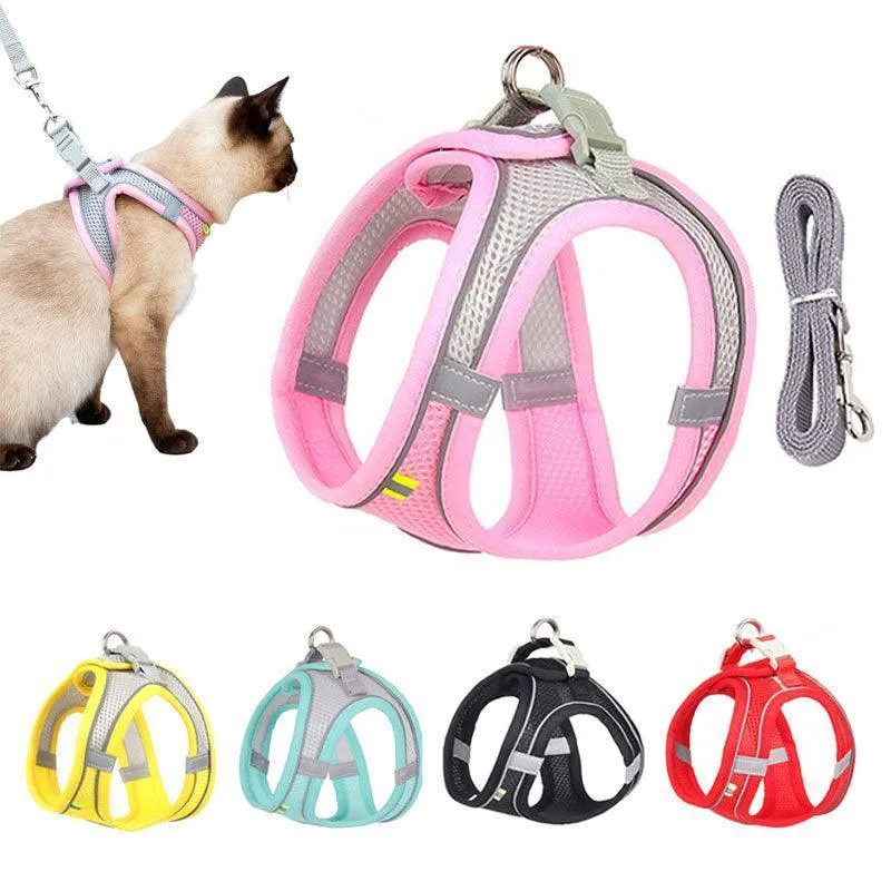 Mesh Cat Harness and Leash Set 5 Color Cat Lead Vest