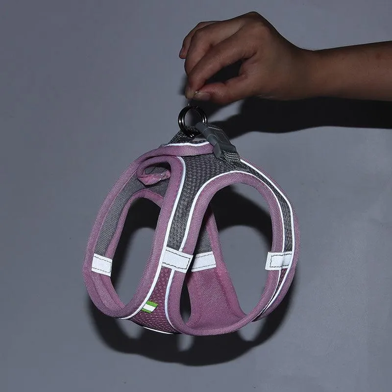 Mesh Cat Harness and Leash Set 5 Color Cat Lead Vest