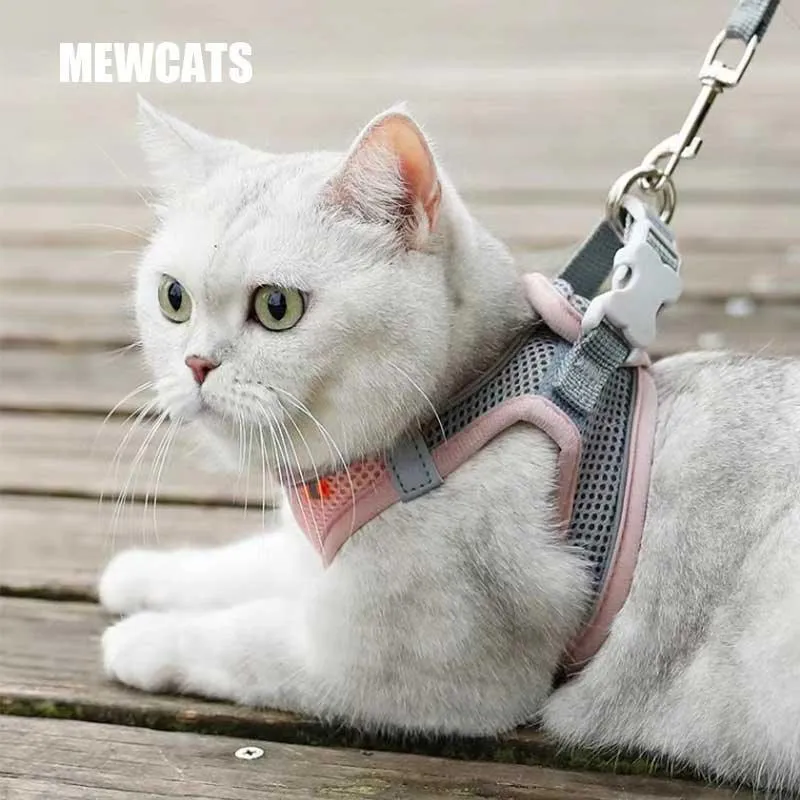 Mesh Cat Harness and Leash Set 5 Color Cat Lead Vest