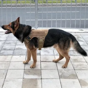 Molle Tactical Dog Harness