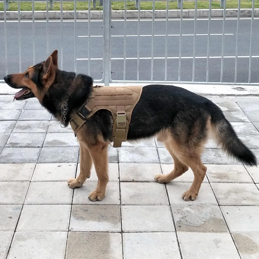 Molle Tactical Dog Harness