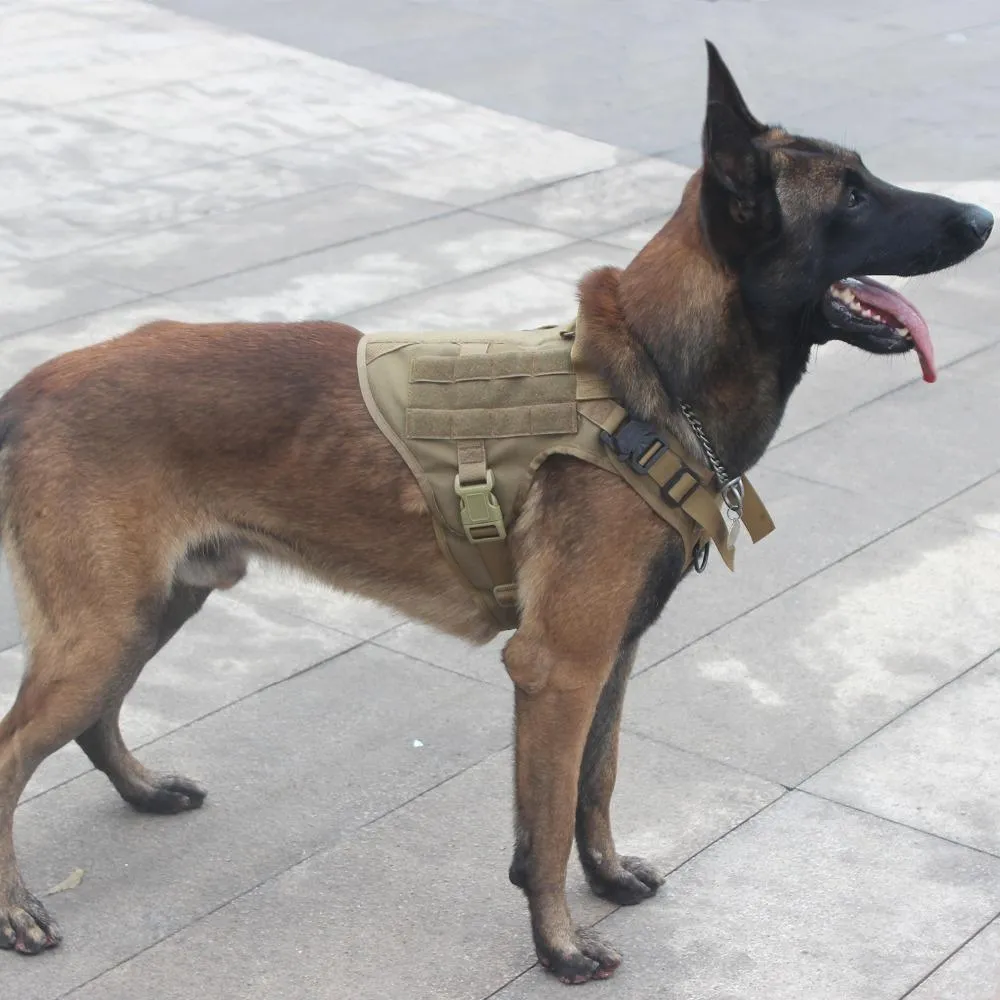 Molle Tactical Dog Harness