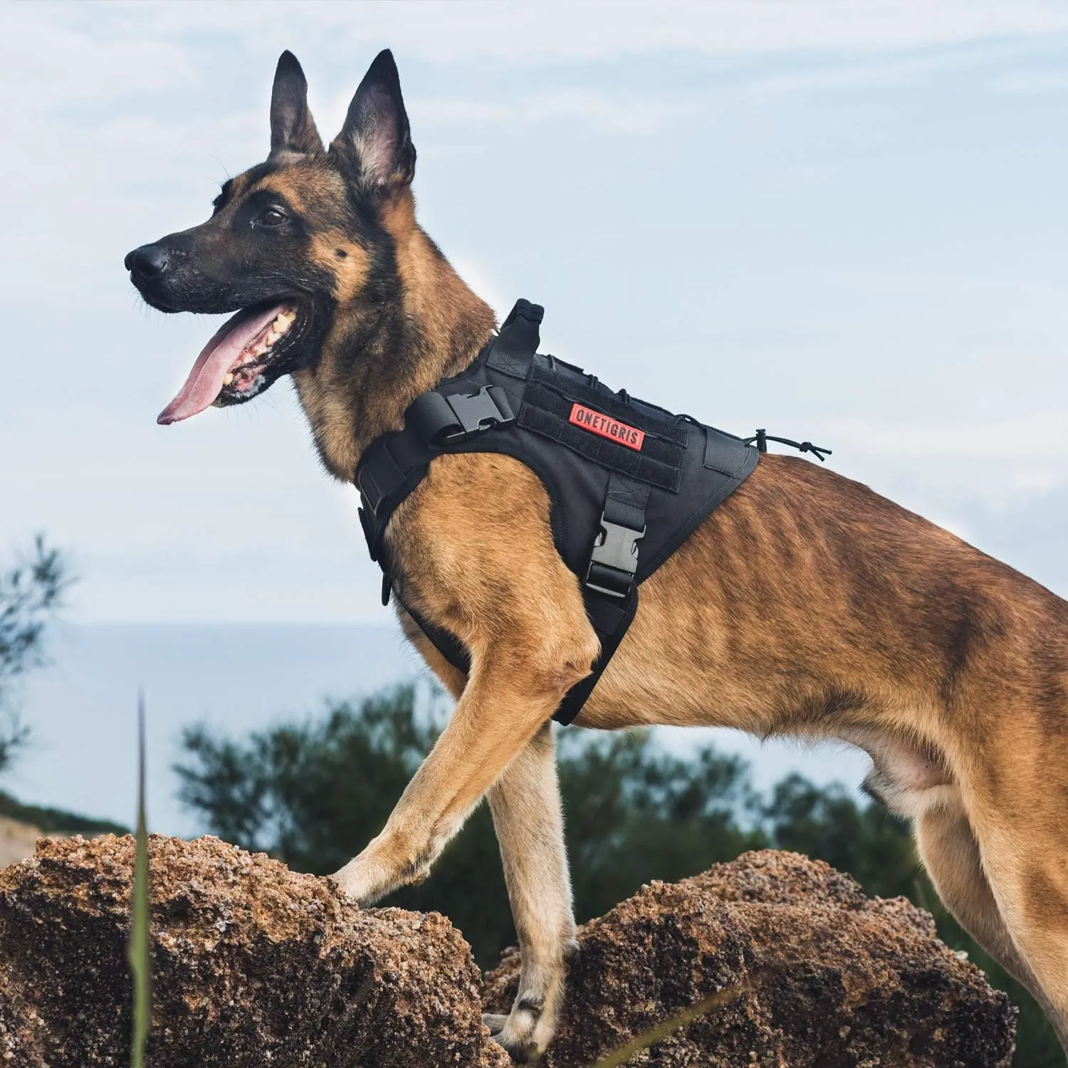 OneTigris Tactical Dog Harness - Fire Watcher Comfortable Patrol Vest (Black, Large)