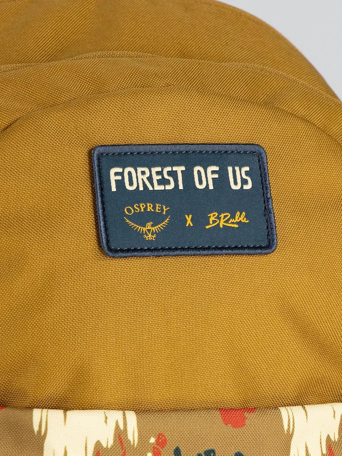 Osprey Daylite Plus Pride Everyday Backpack, Forest of Us