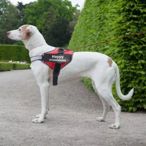 Personalized Custom  Adjustable Reflective Breathable Dog Harness