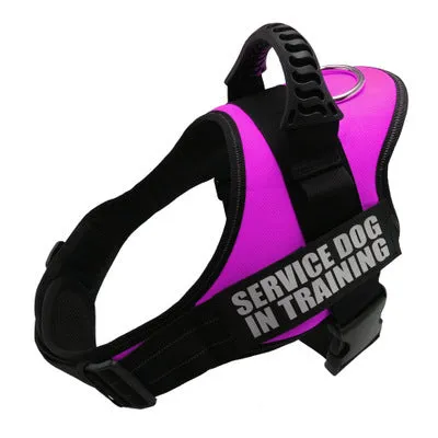 Personalized Custom  Adjustable Reflective Breathable Dog Harness