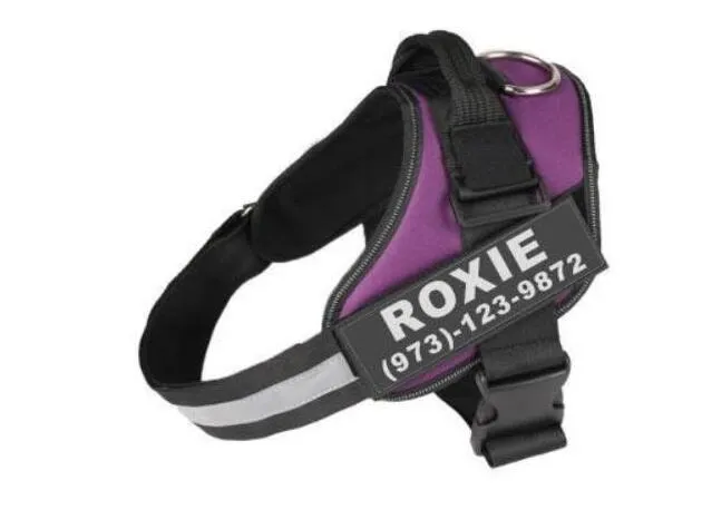 Personalized Custom  Adjustable Reflective Breathable Dog Harness