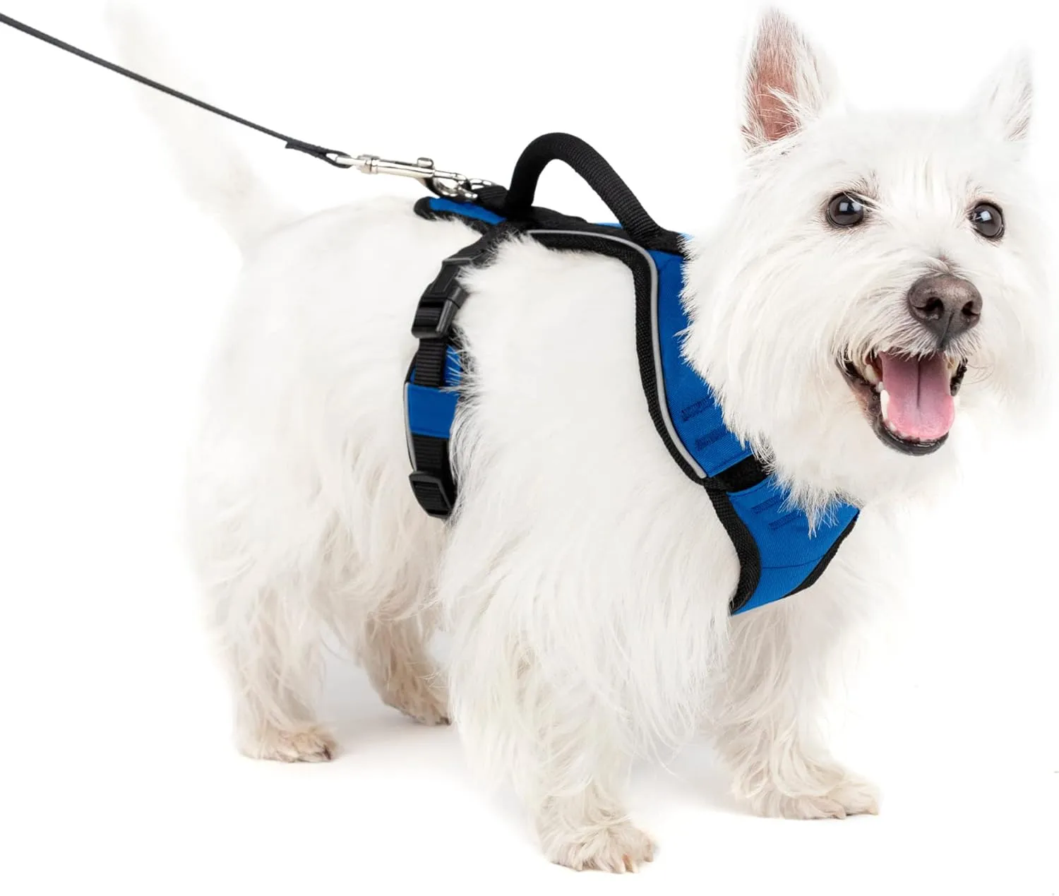 PetSafe EasySport Dog Harness – Adjustable, Padded Dog Harness with Control Handle and Reflective Piping – Small, Blue