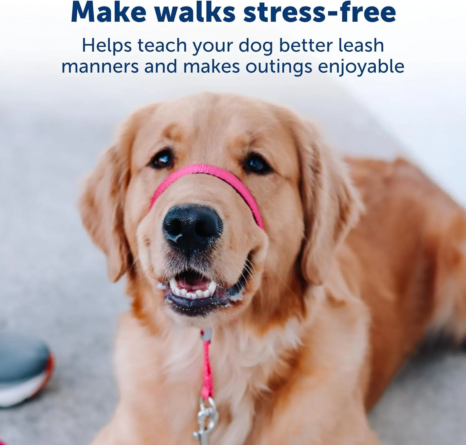 PetSafe Gentle Leader No-Pull Dog Headcollar - The Ultimate Solution to Pulling - Redirects Your Dog's Pulling for Easier Walks - Helps You Regain Control - Large, Charcoal