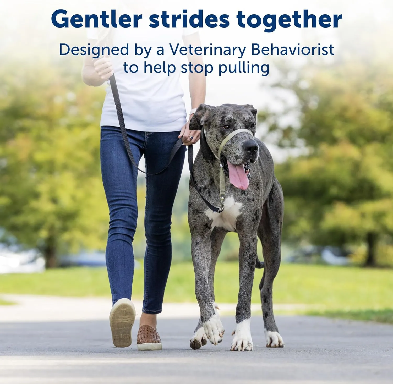 PetSafe Gentle Leader No-Pull Dog Headcollar - The Ultimate Solution to Pulling - Redirects Your Dog's Pulling for Easier Walks - Helps You Regain Control - Large, Charcoal