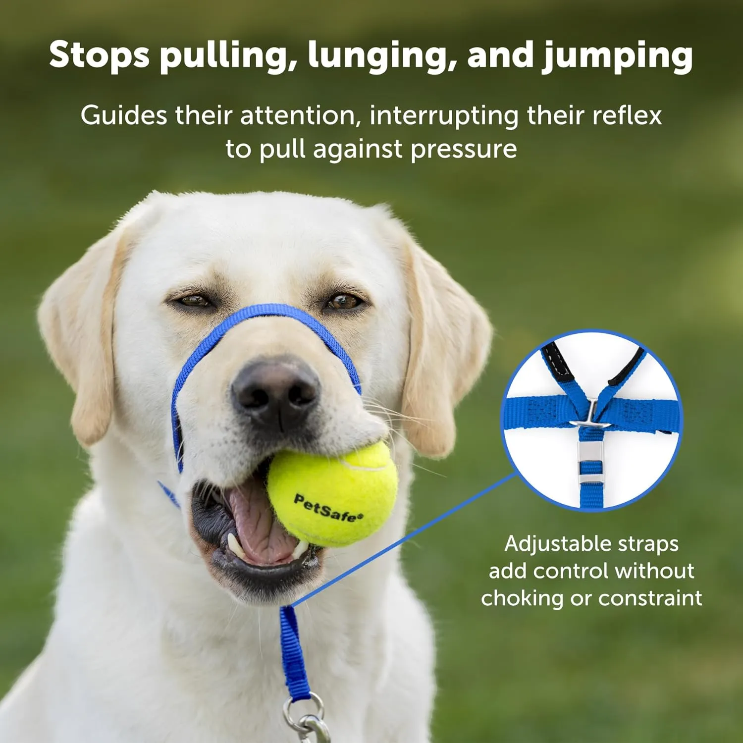 PetSafe Gentle Leader No-Pull Dog Headcollar - The Ultimate Solution to Pulling - Redirects Your Dog's Pulling for Easier Walks - Helps You Regain Control - Large, Charcoal