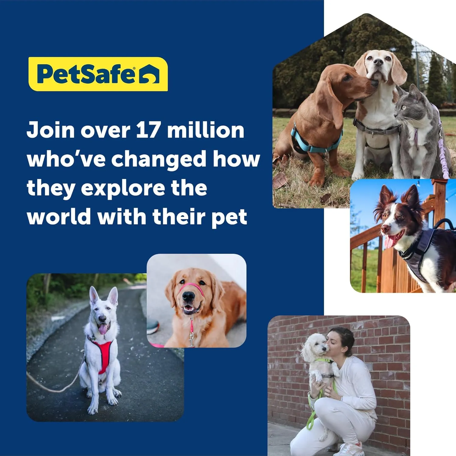 PetSafe Gentle Leader No-Pull Dog Headcollar - The Ultimate Solution to Pulling - Redirects Your Dog's Pulling for Easier Walks - Helps You Regain Control - Large, Charcoal