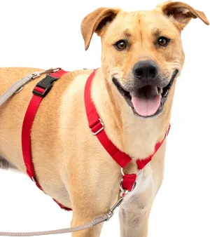 PetSafe Sure-Fit Harness – Five Point Adjustable Dog Harness – from The Makers of The Easy Walk Harness – Large, Red