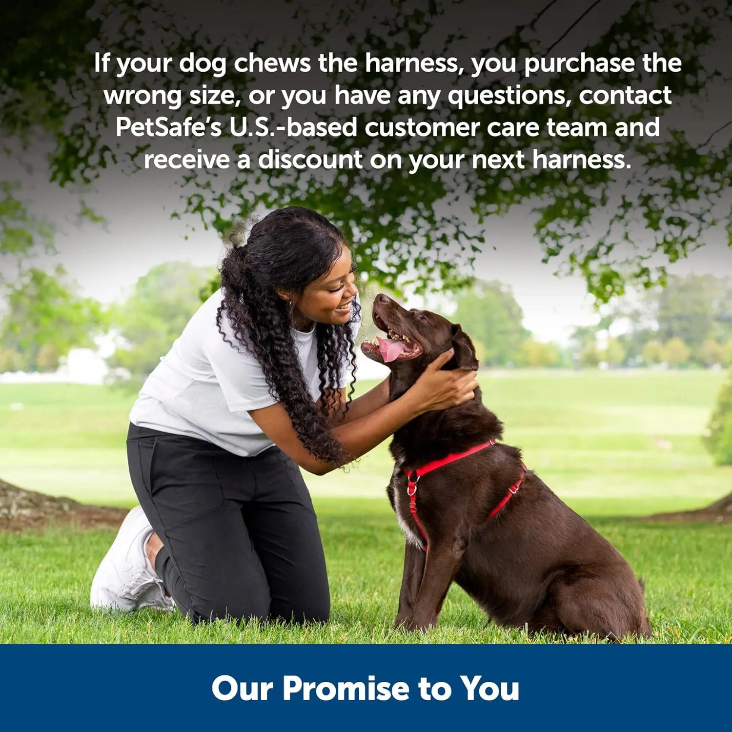 PetSafe Sure-Fit Harness – Five Point Adjustable Dog Harness – from The Makers of The Easy Walk Harness – Large, Red