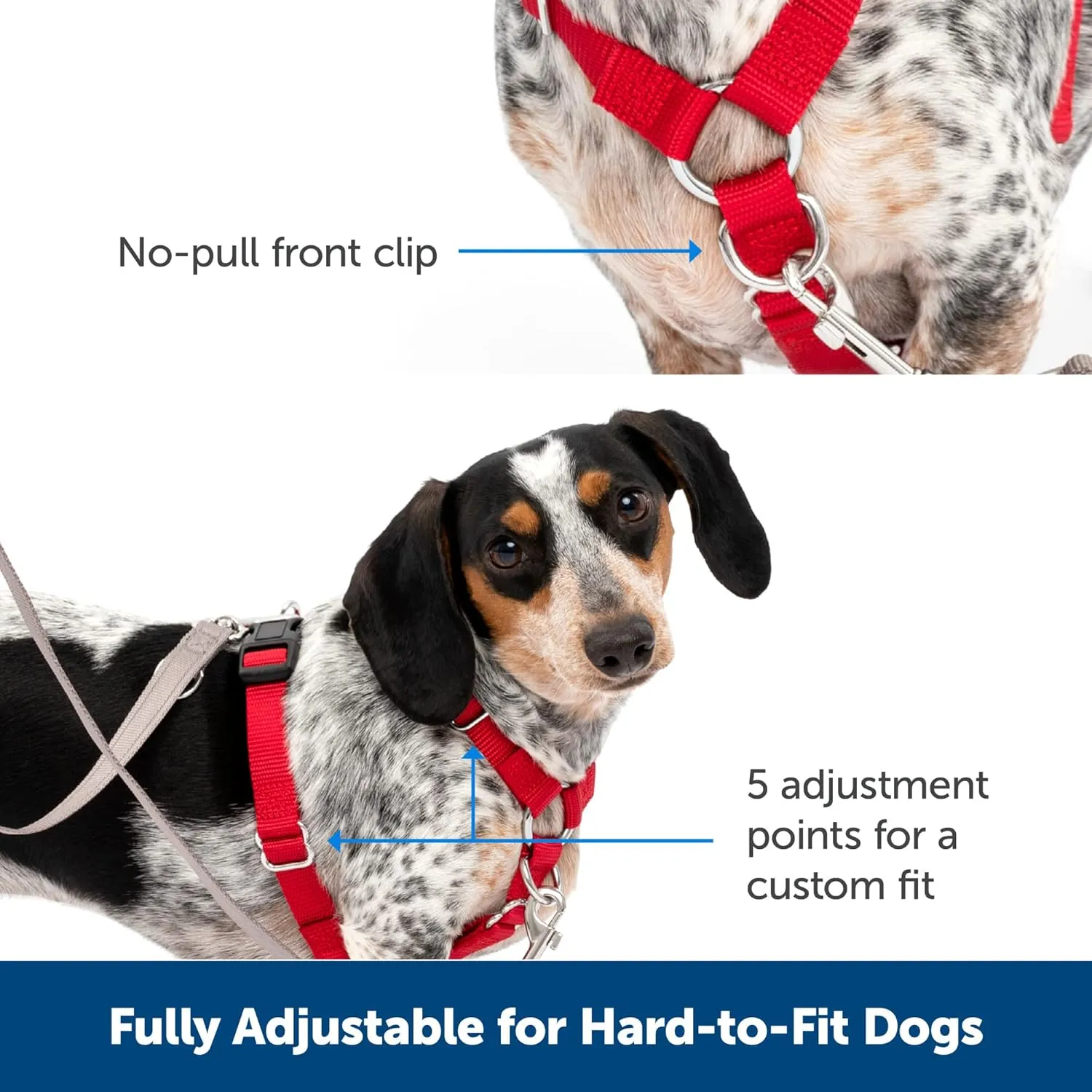 PetSafe Sure-Fit Harness – Five Point Adjustable Dog Harness – from The Makers of The Easy Walk Harness – Large, Red